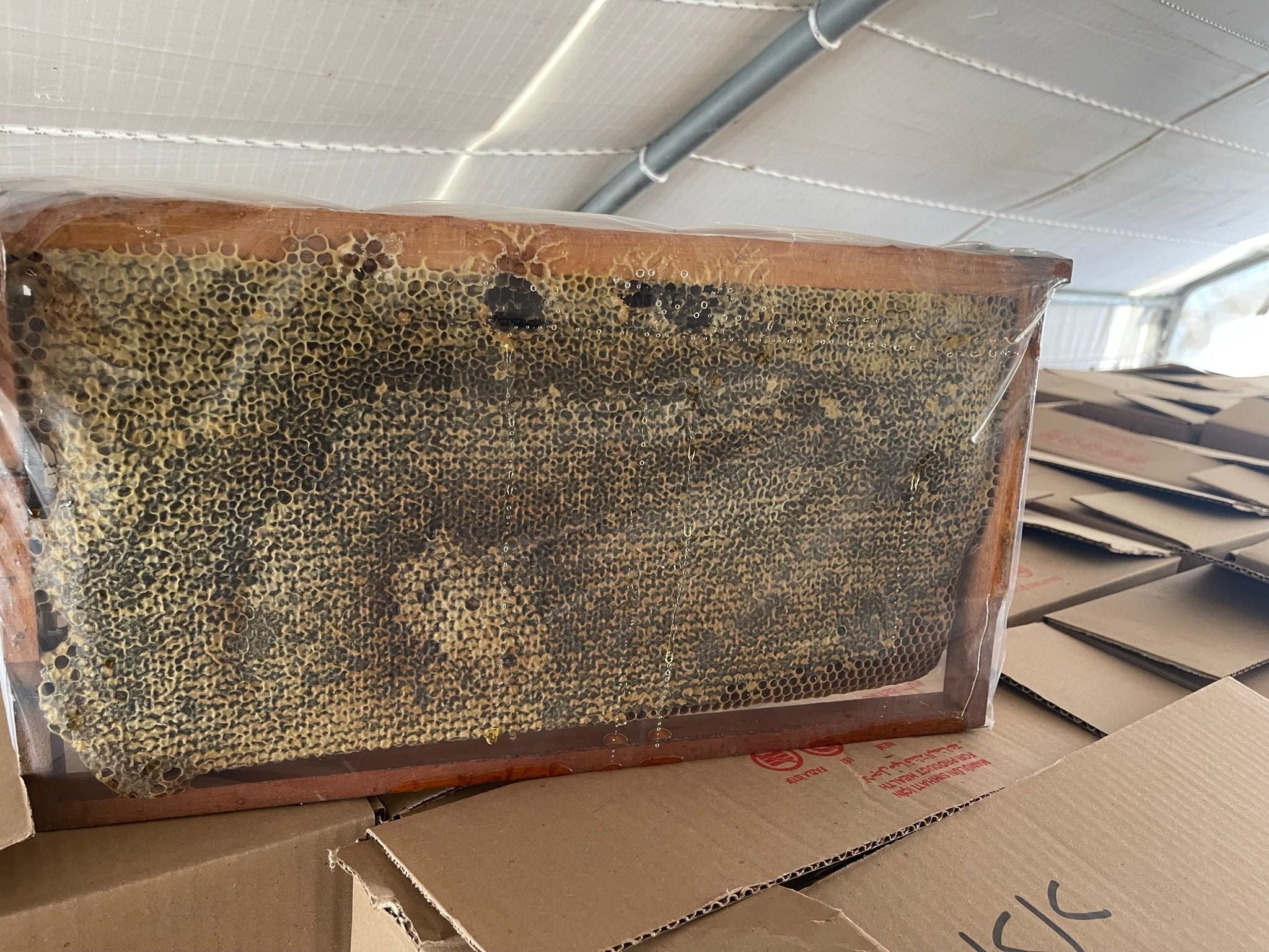 Tanbal Siyah Seri Yoğun Polenli Şifa Balı (Petekli)