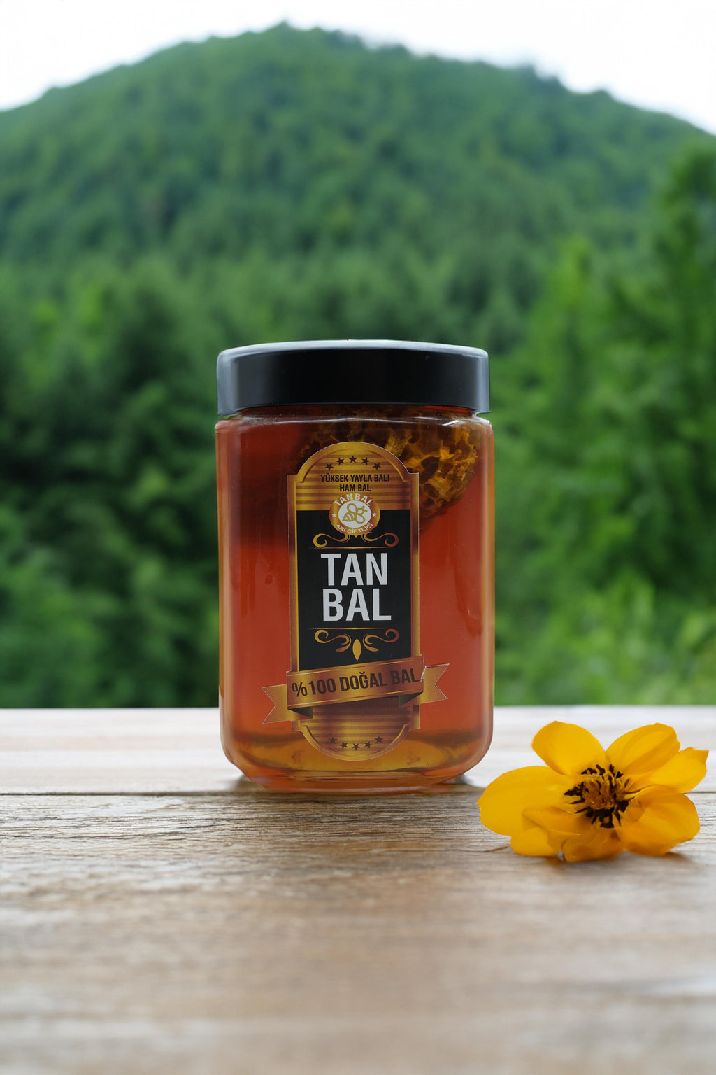 Tanbal Petekli Süzme Bal 1 KG Cam Kavanoz