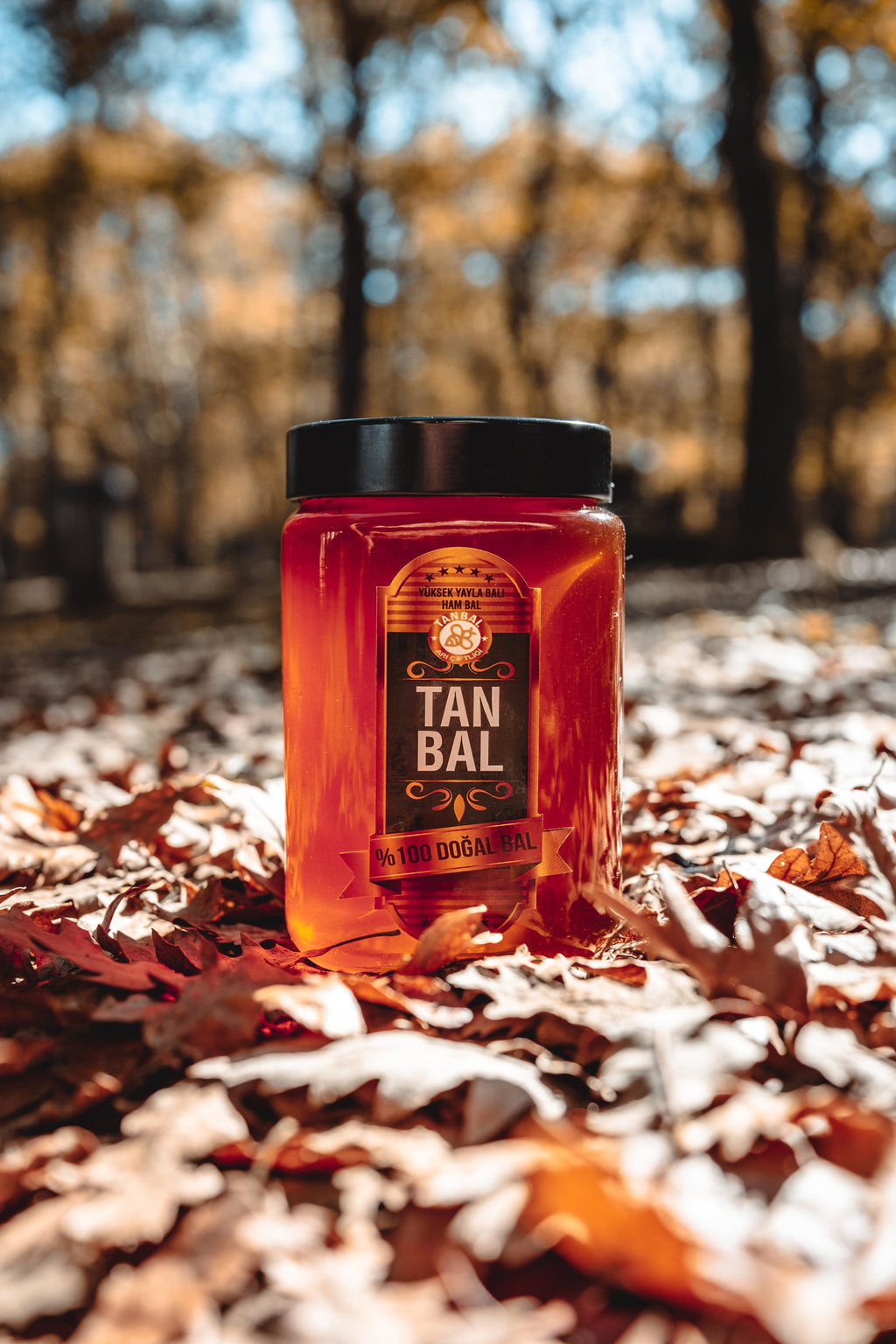 Tanbal Petekli Süzme Bal 1 KG Cam Kavanoz