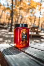 Tanbal Petekli Süzme Bal 1 KG Cam Kavanoz