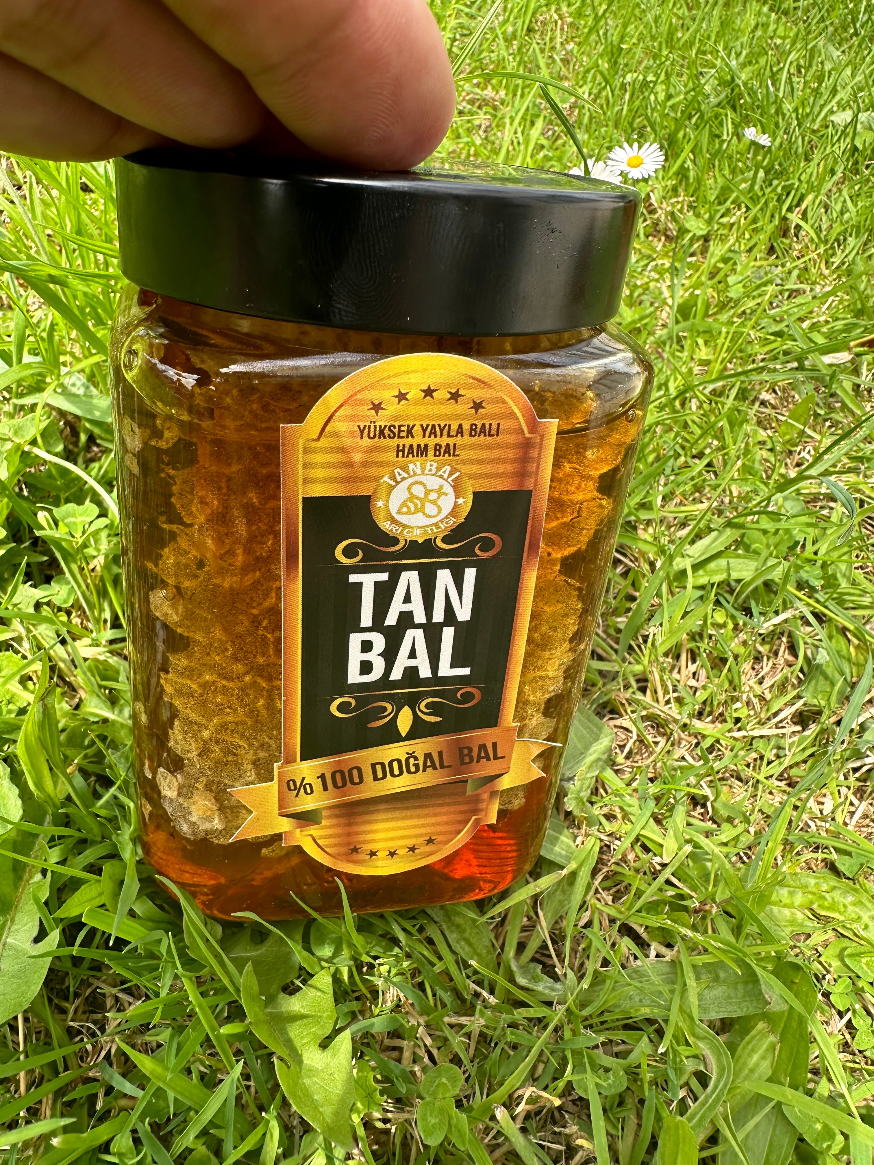 Tanbal Petekli Süzme Bal 1 KG Cam Kavanoz