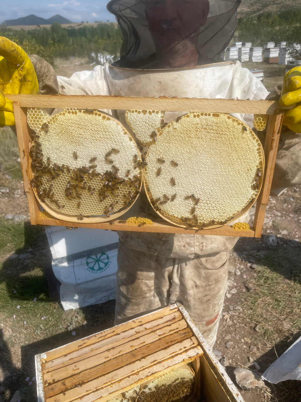 Tanbal Organik Karakovan Çerçeve Balı %100 Mumsuz