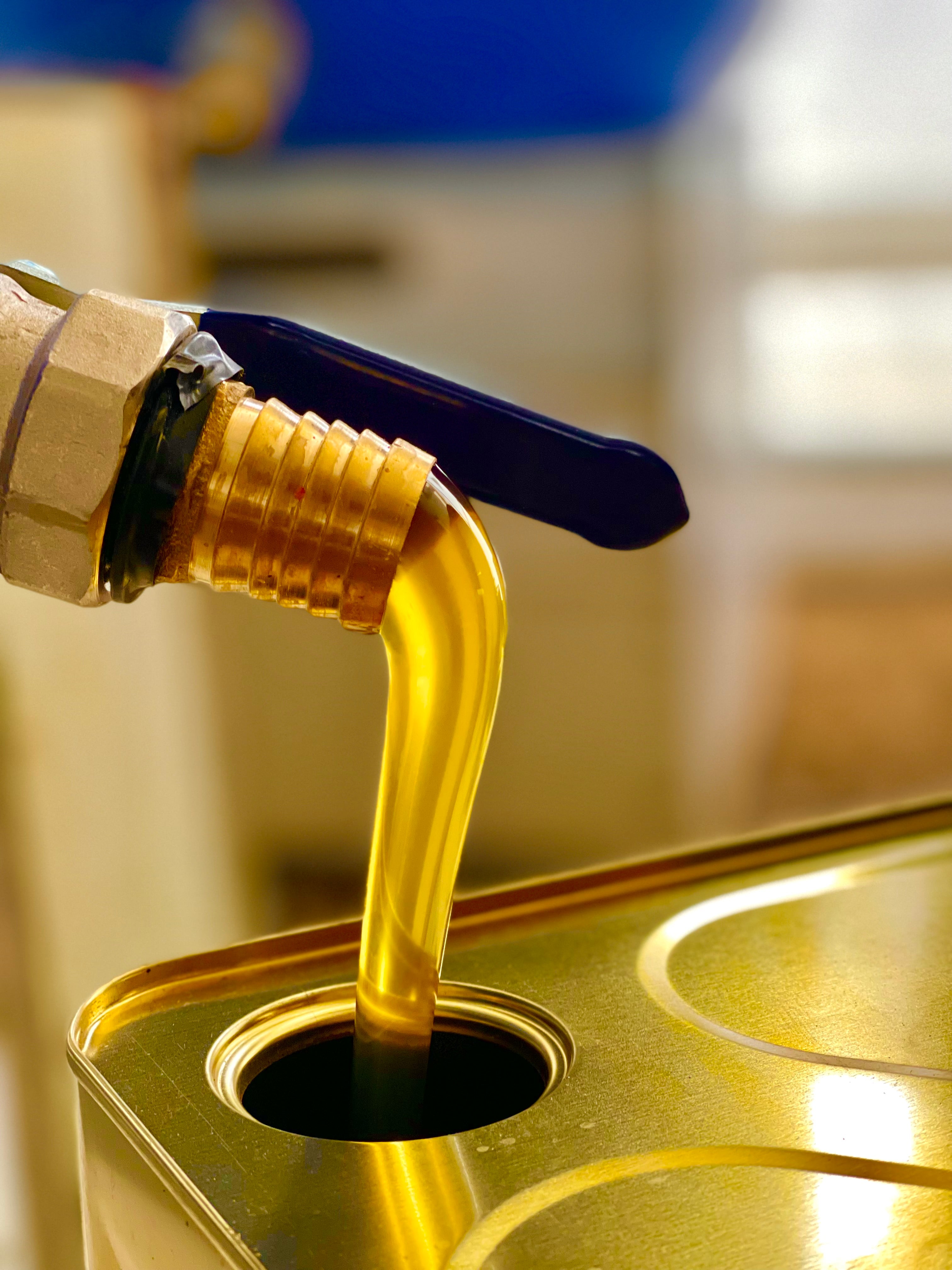 Tanbal Organik Yayla Çiçek Balı 26 KG Teneke