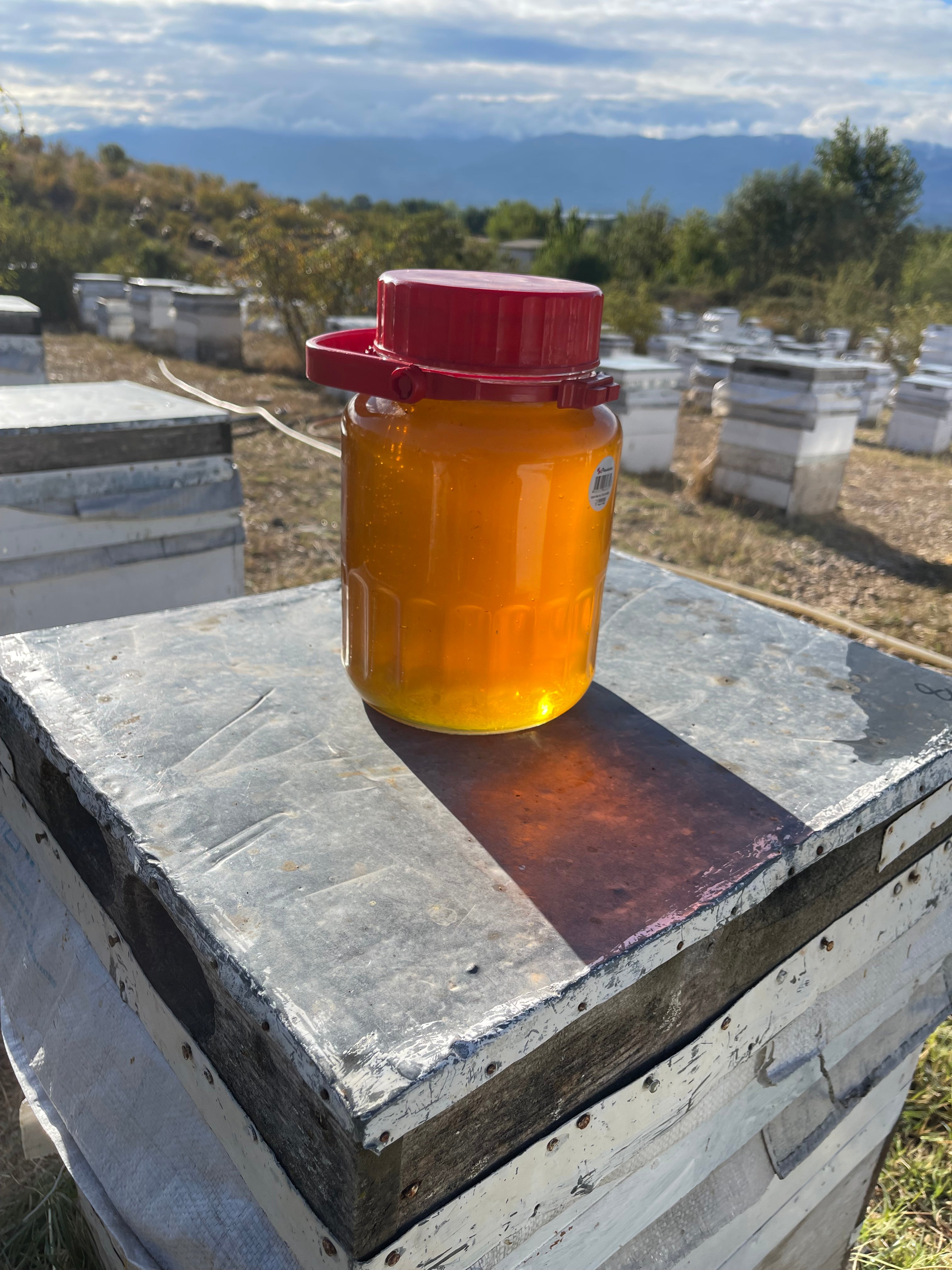 Tanbal Organik Yayla Çiçek Balı 26 KG Teneke