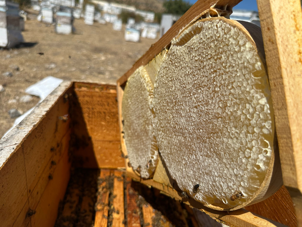 Tanbal Organik Karakovan Çerçeve Balı %100 Mumsuz