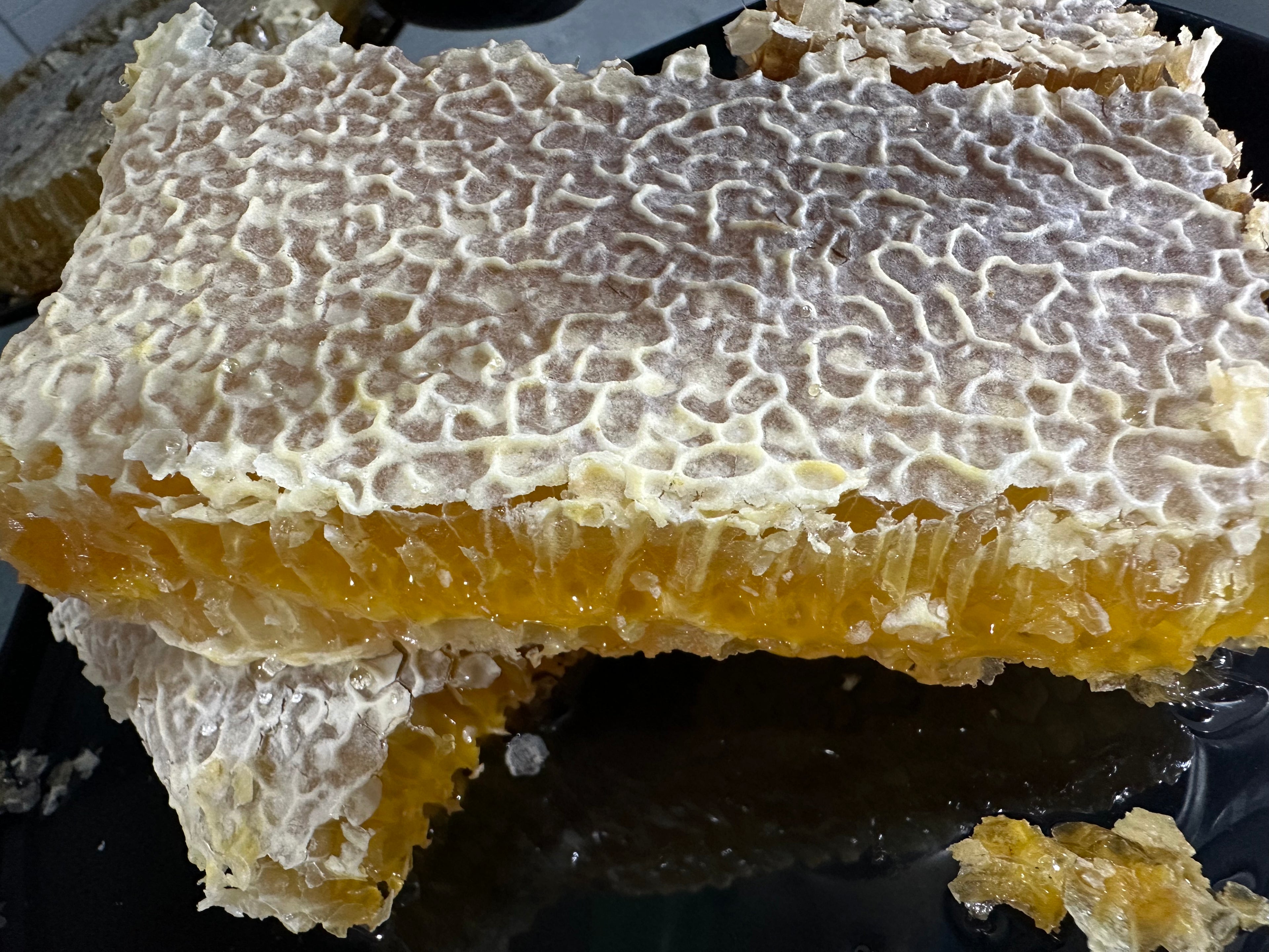 Tanbal Kırmızı Seri Orta Polenli Petekli Çerçeve Bal