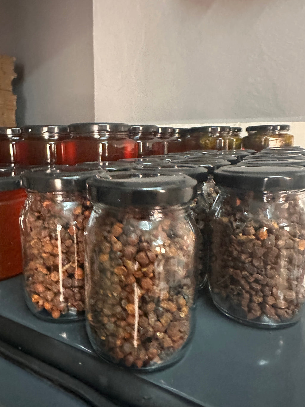 Tanbal Perga Doğal Arı Ekmeği (100 GR)