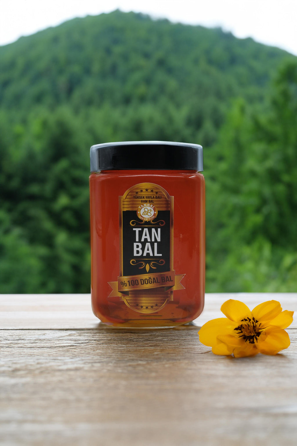 Tanbal Organik Süzme Bal 1 KG Cam Kavanoz