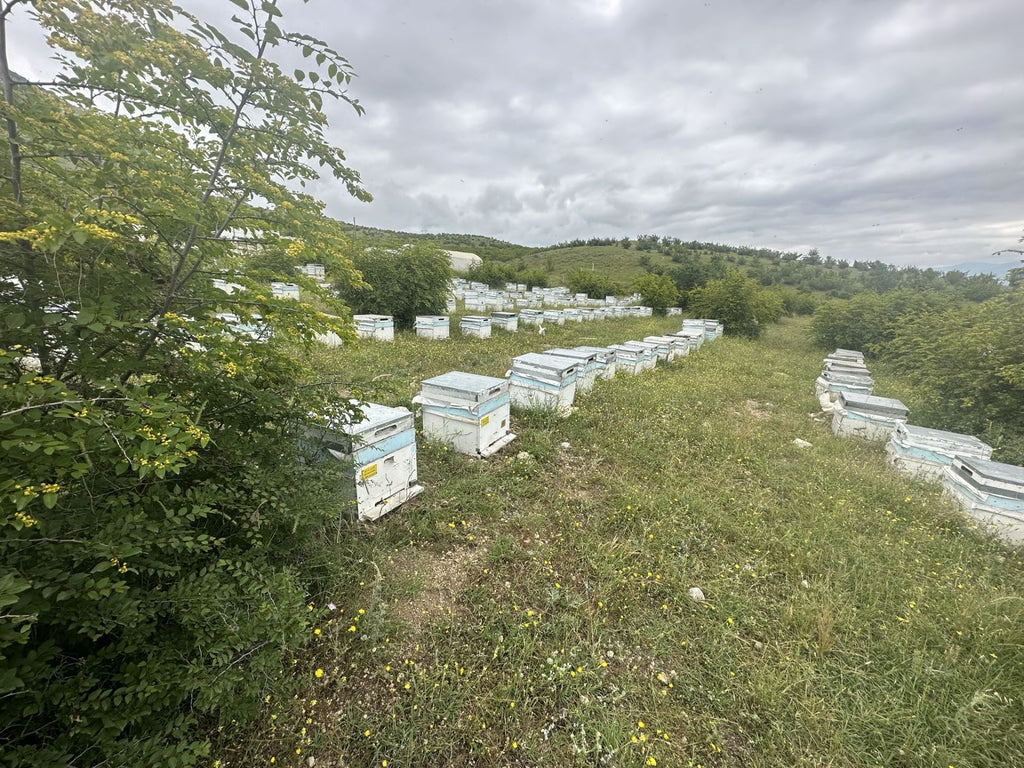 Tanbal Organik Karakovan Çerçeve Balı %100 Mumsuz